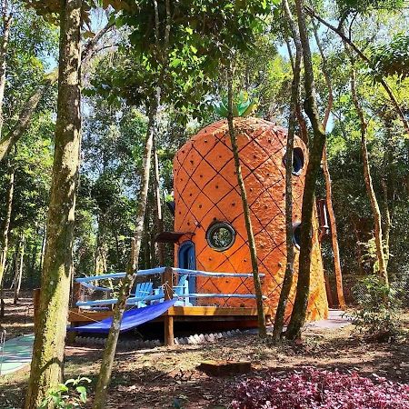 Casa Abacaxi, Vila Magica Bueno Brandão エクステリア 写真