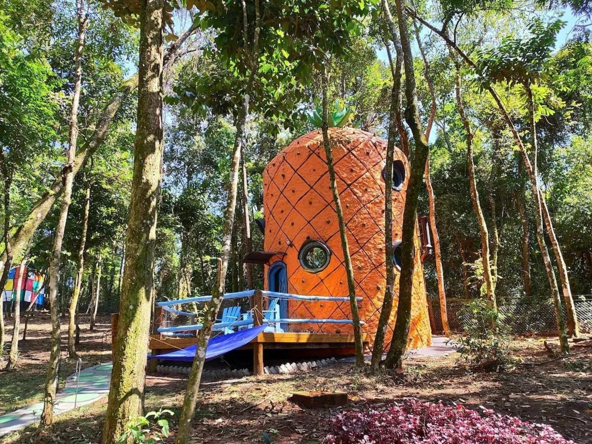 Casa Abacaxi, Vila Magica Bueno Brandão エクステリア 写真